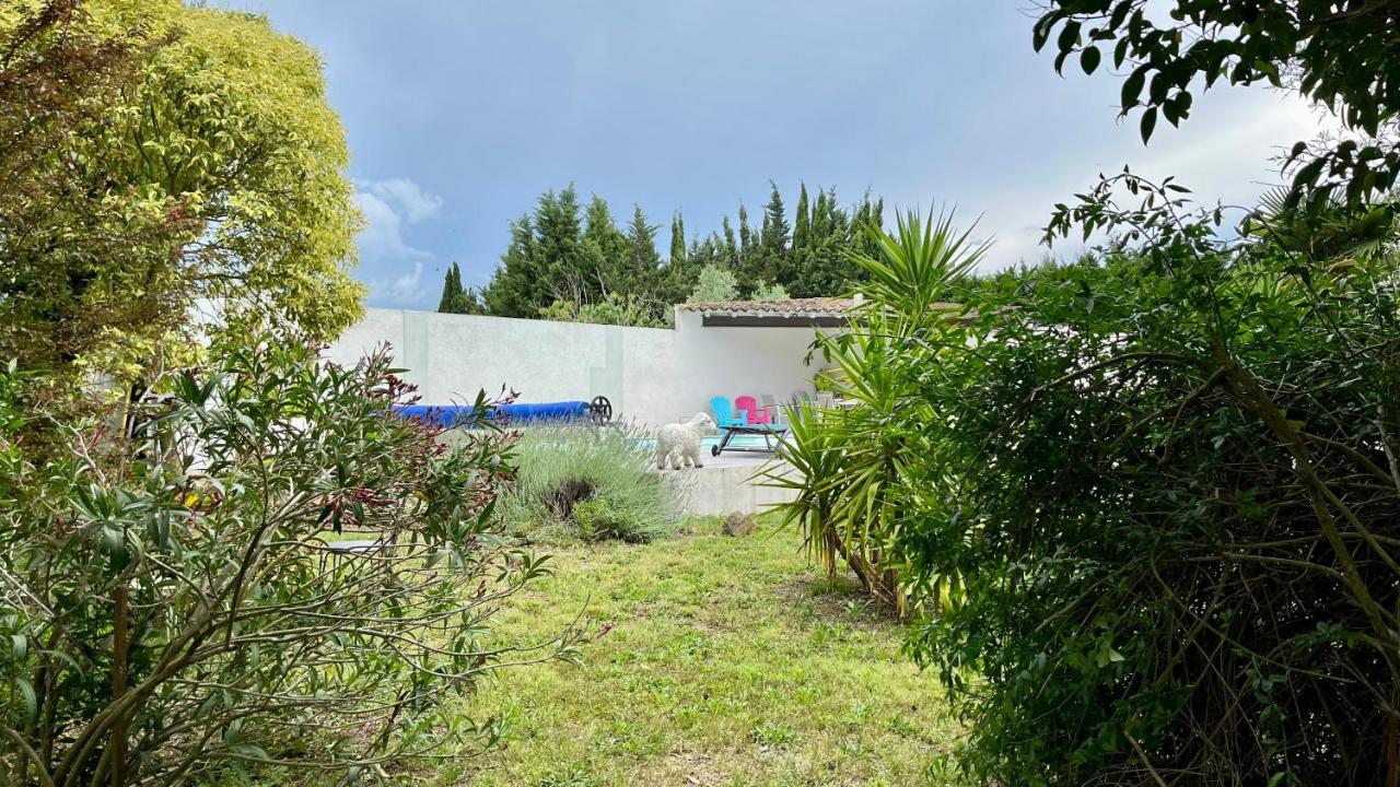 Aux Belles Vacances - Adults Only Caux-et-Sauzens Εξωτερικό φωτογραφία