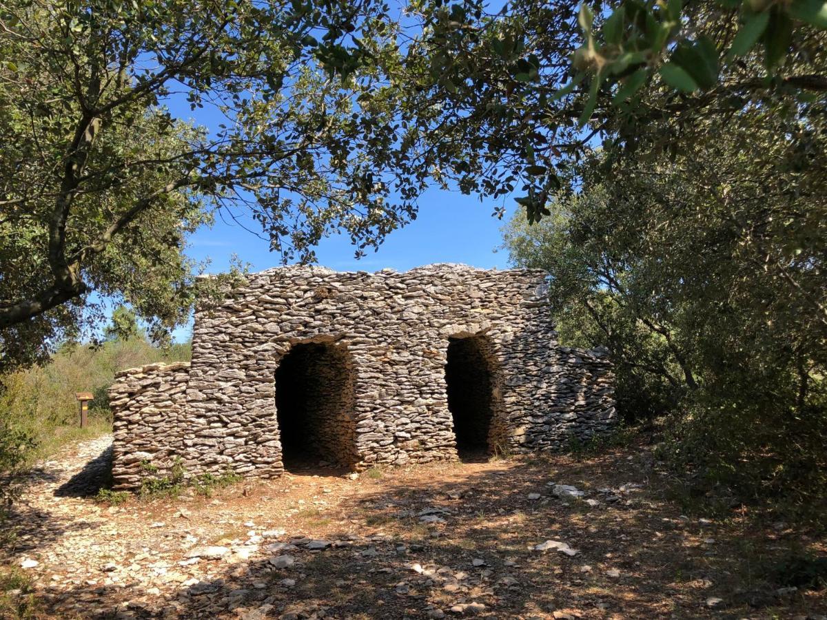 Aux Belles Vacances - Adults Only Caux-et-Sauzens Εξωτερικό φωτογραφία
