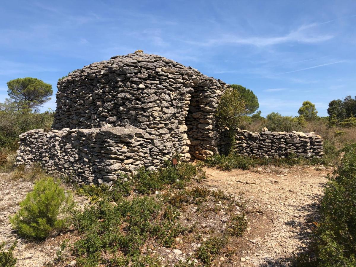 Aux Belles Vacances - Adults Only Caux-et-Sauzens Εξωτερικό φωτογραφία