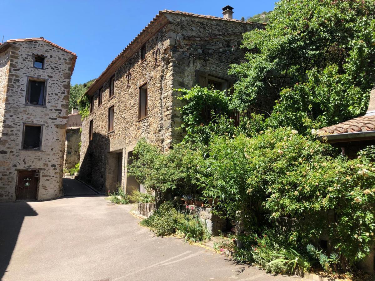 Aux Belles Vacances - Adults Only Caux-et-Sauzens Εξωτερικό φωτογραφία